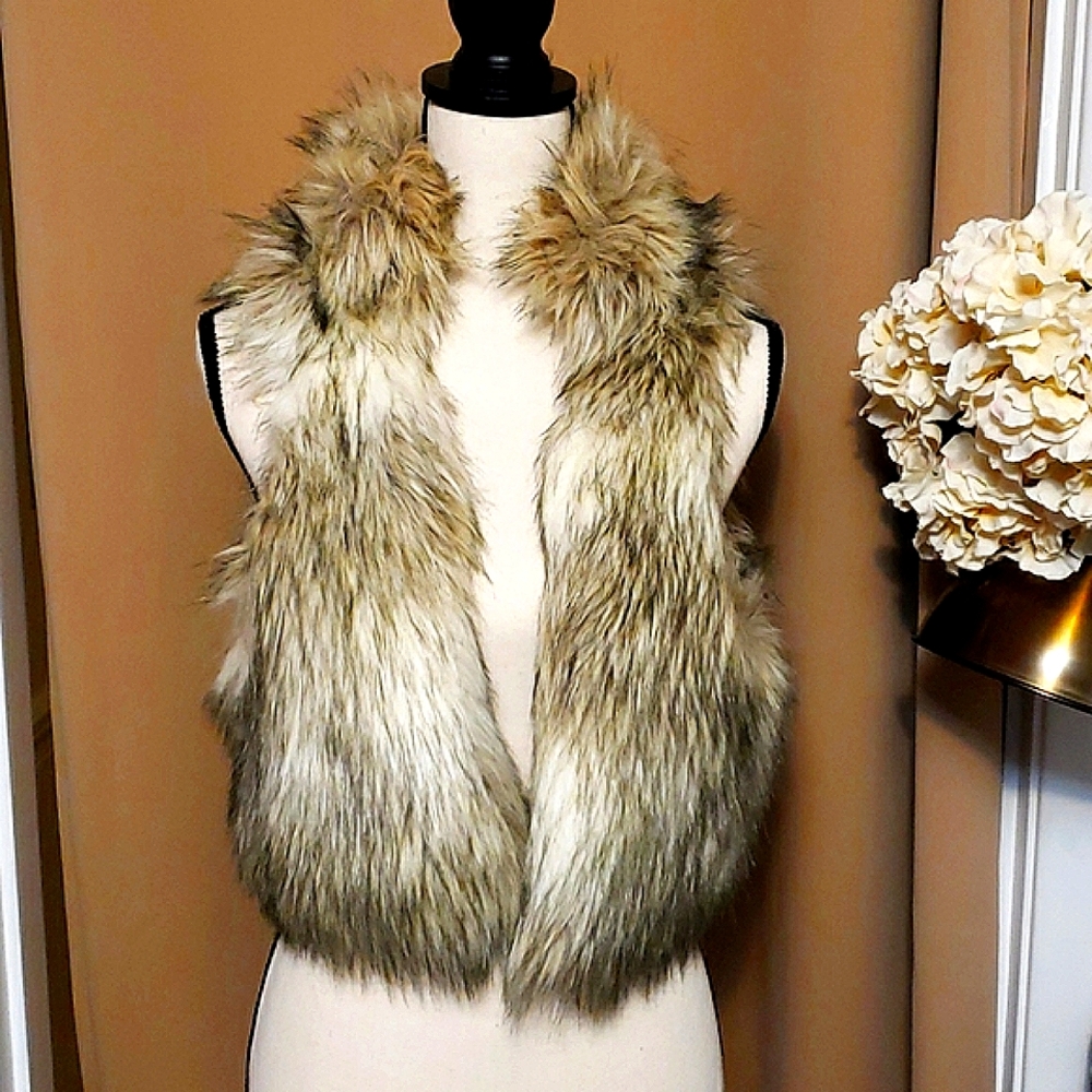 Loft Faux Fur Vest